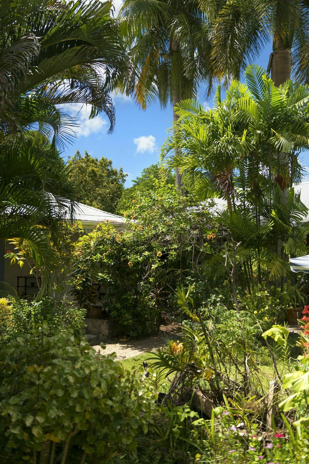 Auberge Chez Plume Anse Boileau Dış mekan fotoğraf