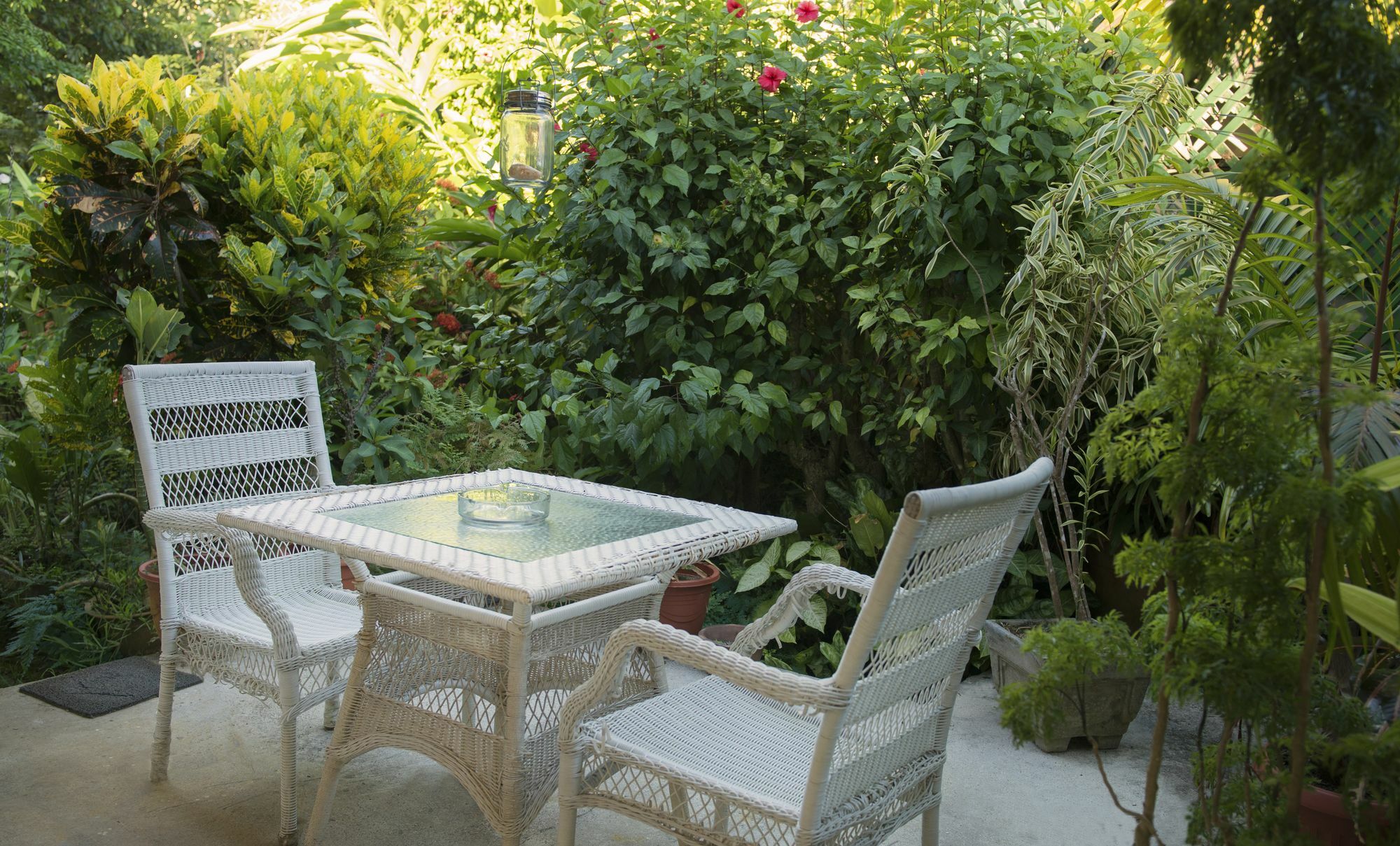 Auberge Chez Plume Anse Boileau Dış mekan fotoğraf